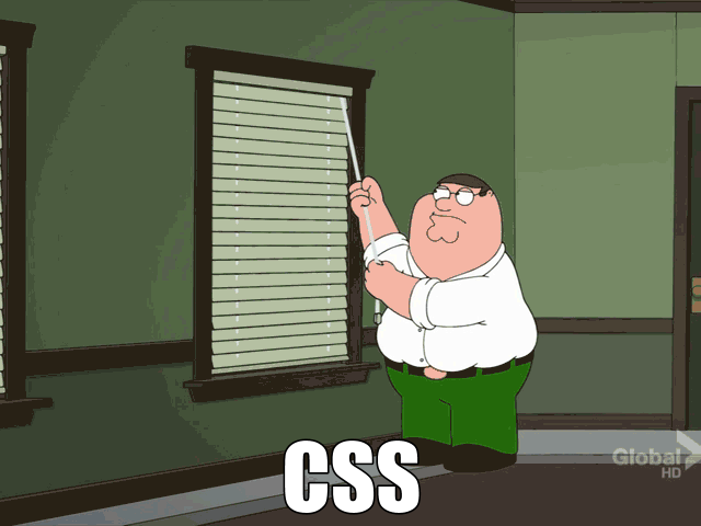 Backend Developer using CSS